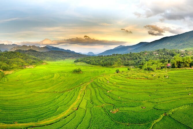 Pu Luong Insight Half Day of Nature and Culture Discovery Top 1 - Group Size, Guide Style, and Why It Matters for Your Day