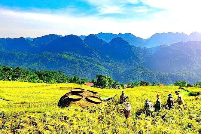 Pu Luong Insight Half Day of Nature and Culture Discovery Top 1 - Getting There After Lunch: Pickup and the Meeting Point Reality