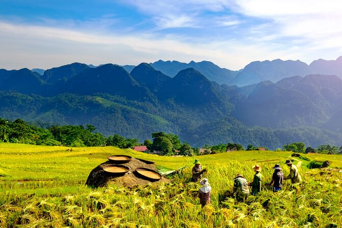 Pu Luong Private Day Tour from Hanoi – Biking & Rafting - Quán Mộc Pù Luông Lunch: 7 Dishes With a View