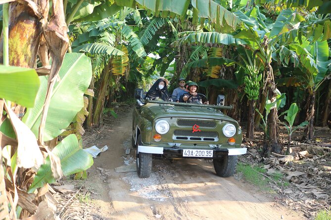 Red River Delta Countryside+ Rural Villages, rice Paddies fields - Rice Paddies and Water Buffalo: The Countryside Portion You Came For