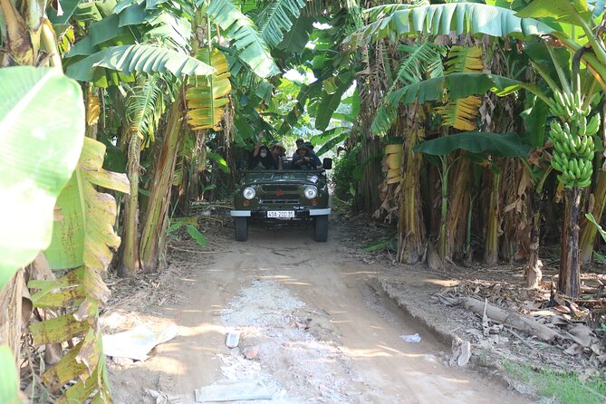 Red River Delta Countryside+ Rural Villages, rice Paddies fields - Who This Tour Works Best For