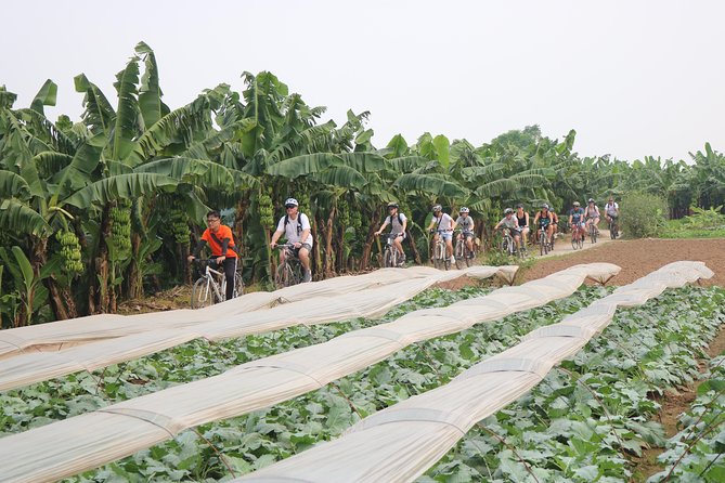 Red River island backroad, Rural Countyside Area and Train Street - Pickup, Bikes, and the Small-Group Advantage in Hanoi