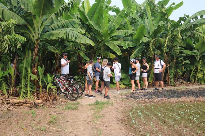 Red River island backroad, Rural Countyside Area and Train Street - How This Fits Your Hanoi Schedule (and Who Should Take It)