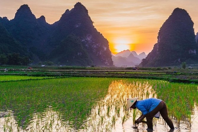 Remarkable Vietnam 14 Days - Hanoi, Sapa, Halong Bay, Ho Chi Minh - Day in Ninh Binh: Hoa Lu temples, Tam Coc boats, and cycling village life