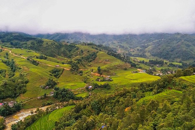 Rice Terraced Fields & Homestay Experience– 2D 1N - Rice terraces and a Ta Van homestay: why this combo works in Sapa