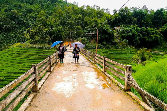 Rice Terraced Fields & Homestay Experience– 2D 1N - Price and value: what $85 covers over two days