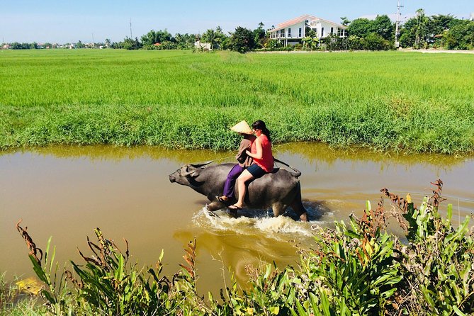 Riding Water Buffalo and Basket Boat Hoi An Private Bike Tour - Riding water buffalo in Hoi An’s countryside, not the old-town loop