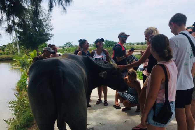 Riding Water Buffalo and Basket Boat Hoi An Private Bike Tour - Bay Mau Coconut Forest: nipa palms, nets, crab, and the basket boat moment