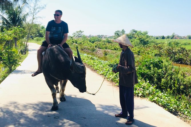Riding Water Buffalo and Basket Boat Hoi An Private Bike Tour - Price and value: why $29 can still feel like a good deal