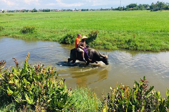 Riding Water Buffalo and Basket Boat Hoi An Private Bike Tour - Who should book, and who should think twice