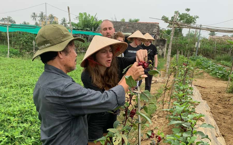 Rural Cycle, Market Tour, Basket Boat & Organic Farm Cooking - The Market Stop That Turns Dessert Into a Story