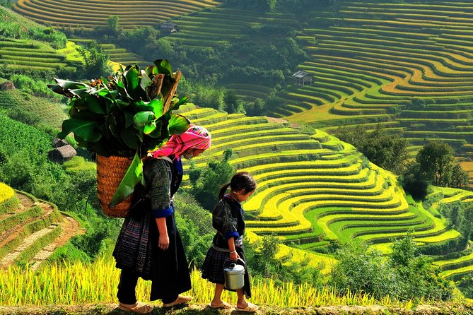 Sa Pa 2-Day Moderate Trek and Homestay Limousine Tour from Hanoi - Why this Sa Pa 2-day trek from Hanoi feels like good value