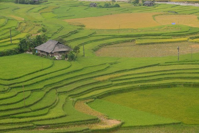 Sa Pa 2-Day Moderate Trek and Homestay Limousine Tour from Hanoi - The 6-mile (10km) moderate trek: terraces, bamboo forests, and real walking time