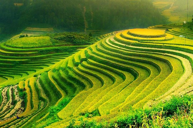 Sa Pa 2-Day Moderate Trek and Homestay Limousine Tour from Hanoi - Hanoi to Sapa: pickup timing, limousine comfort, and the practical reality