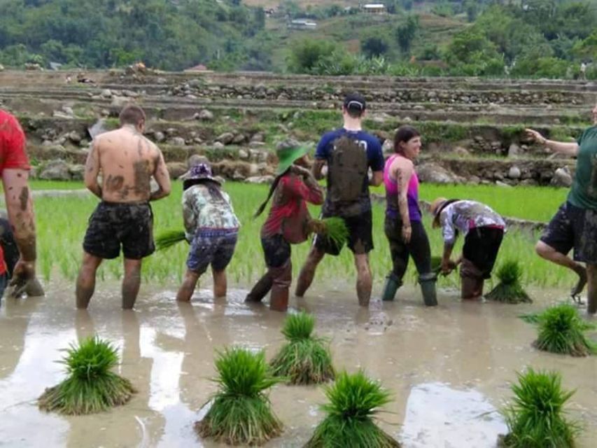 Sa Pa: 2-Day Trekking Trip with Ethnic Minority Homestay - Should You Book This Sapa 2-Day Trek with a Dzay Homestay?
