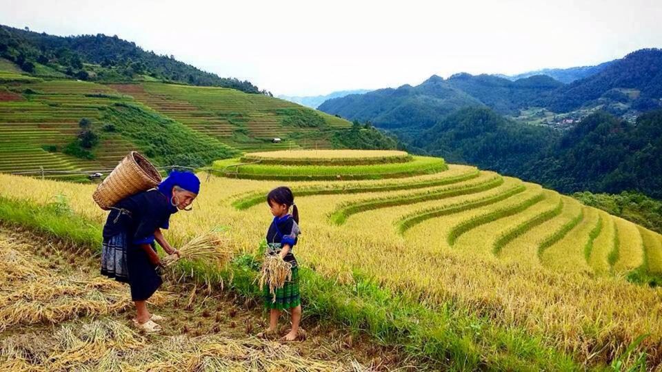 Sa Pa: 6-Hours Muong Hoa Valley Trek with Local Ethnic guide - Muong Hoa Valley in Six Hours: tight walking, real village time