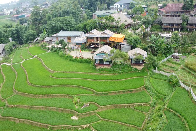 Sa Pa Full Day Trekking Tour - Stop 1: Y Linh Ho Village and Muong Hoa Rice Terraces