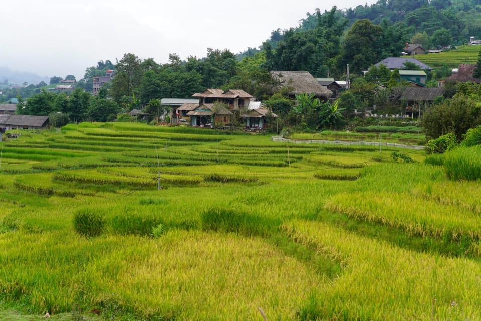 Sa Pa: Half-Day Cat Cat Village Hike to Meet H'mong People - Key Things to Know Before You Go