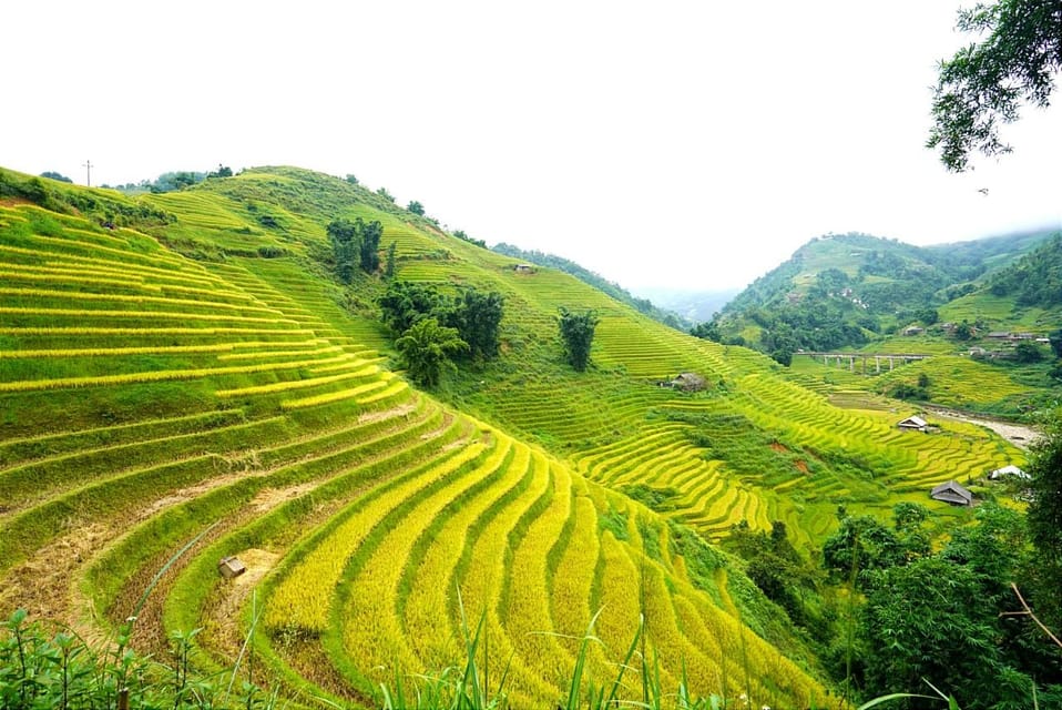 Sa Pa: Half-Day Cat Cat Village Hike to Meet H'mong People - Should You Book This Tour or Skip It?