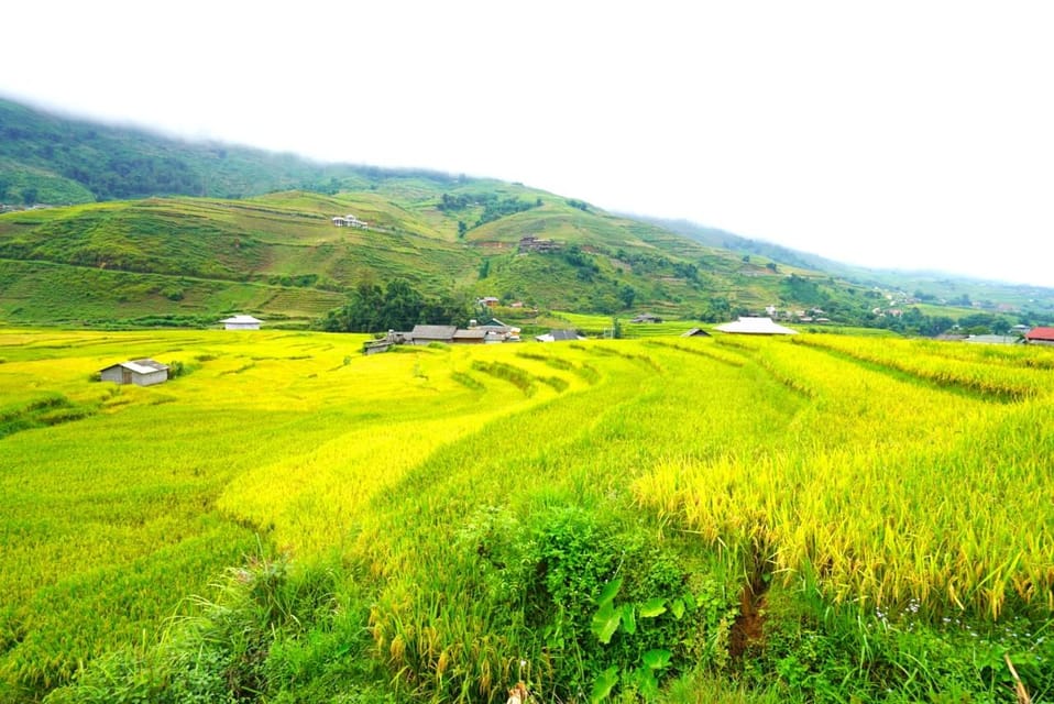 Sa Pa: Half-Day Cat Cat Village Hike to Meet H'mong People - Getting Back Up to Sapa: Views, Sun, and Effort