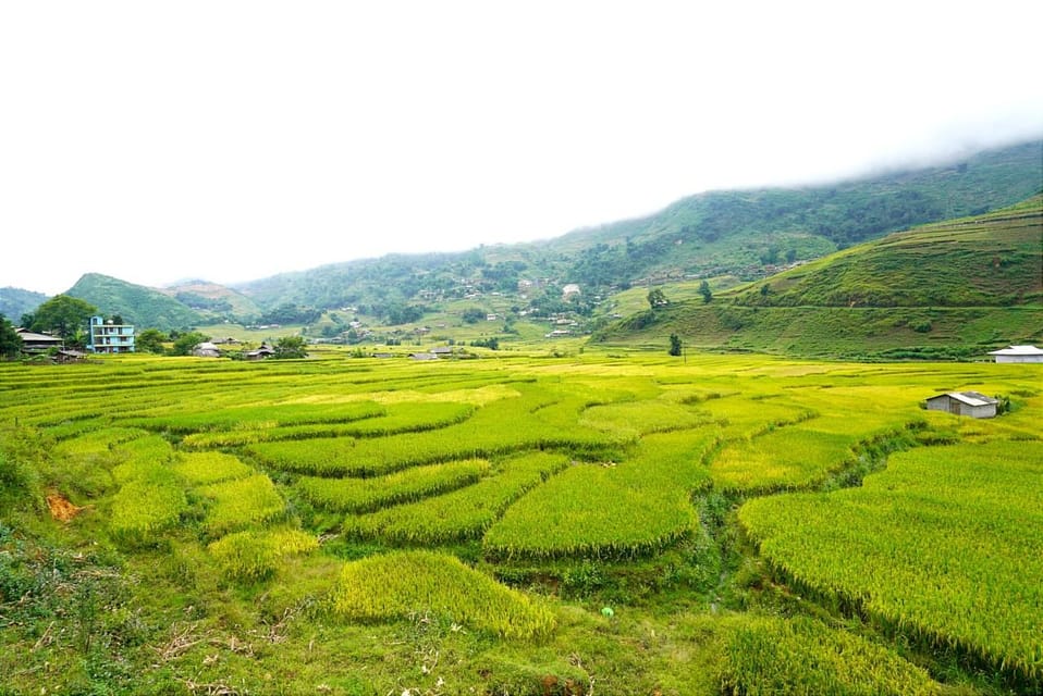 Sa Pa: Half-Day Cat Cat Village Hike to Meet H'mong People - Who Should Book This Cat Cat Village Half-Day Hike