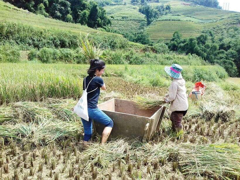 Sa Pa: Muong Hoa Valley Trek and Local Ethnic Villages - Sa Pa’s Muong Hoa Valley: where the day feels lived-in