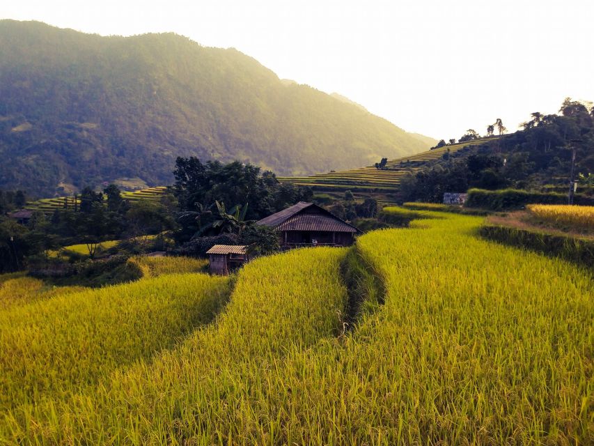 Sa Pa: Muong Hoa Valley Trek and Local Ethnic Villages - Rock carvings, villages, and lunch that actually changes the day