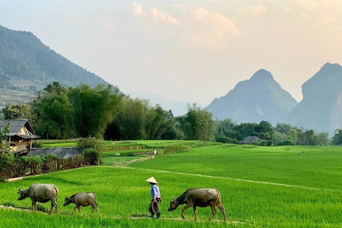Sa Pa Trekking 2 Days 3 Nights Homestay by Night Train - Hanoi Start and the Practical Stuff That Saves Your Day