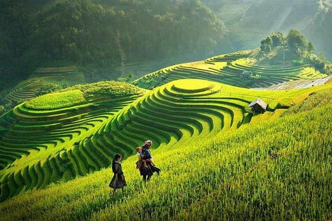 Sa Pa Trekking 2 Days 3 Nights Homestay by Night Train - Price and Logistics: What $165 Really Buys You