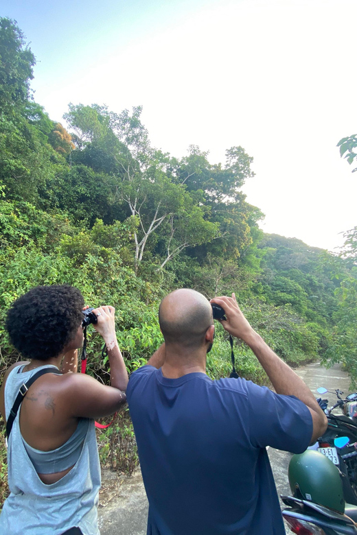 Safari - Finding the most endangered monkey in the World - Safety, Etiquette, and Photo Tips That Actually Help