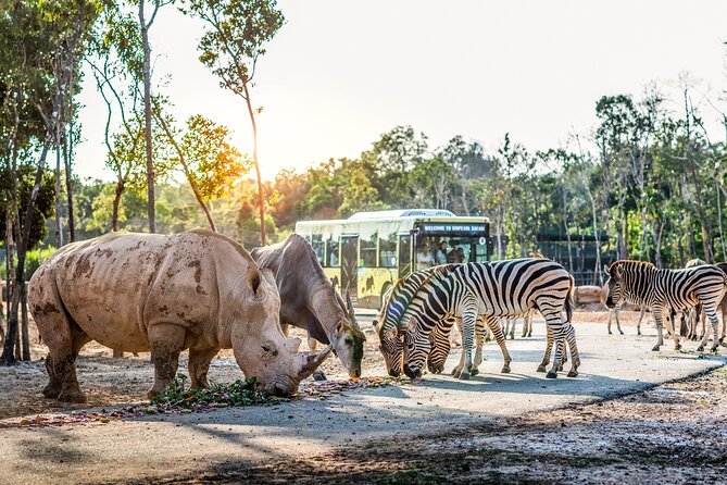 Safari Phu Quoc Ticket With Roundtrip Transfer - The main event: the safari bus loop and animal sightings