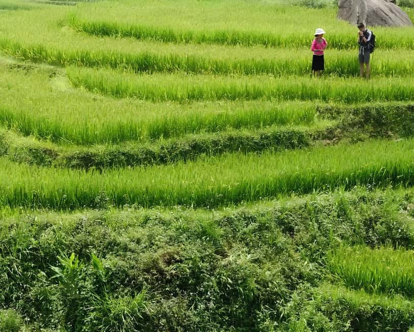 SAPA 1 DAY - Mountain Views And Villages Trek - Long Trek - The included lunch: a real break, not just a time filler