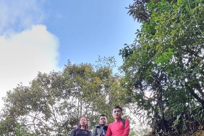 Sapa 1 day trek with local guide to the village by Comlam - Route Walkthrough: Tả Van, Lao Chải, and the Villages Between