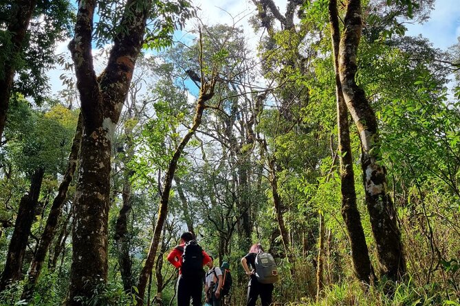 Sapa 1 day trek with local guide to the village by Comlam - Meeting, Pickup, and the 9am to 4:30pm Rhythm