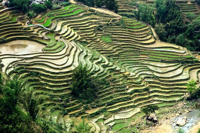 Sapa 1 Day Trekking - How pickup and meeting logistics shape your day