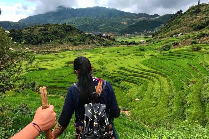 Sapa 1 Day Trekking Tours - What the guides do beyond directions