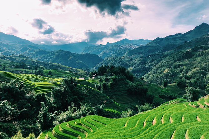 Sapa 2-Day Trek & Homestay in Ta Van Village – Be a Local - Y Linh Ho and Lao Chai: rice terraces you can actually walk through
