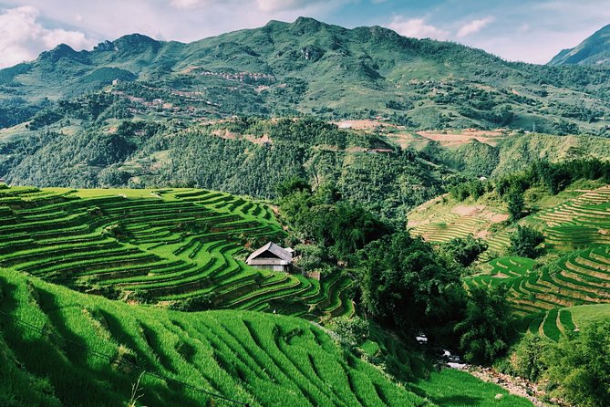 Sapa 2-Day Trek & Homestay in Ta Van Village – Be a Local - Day 2 trail through Giang Ta Chai, Bamboo Forest, and Su Pan