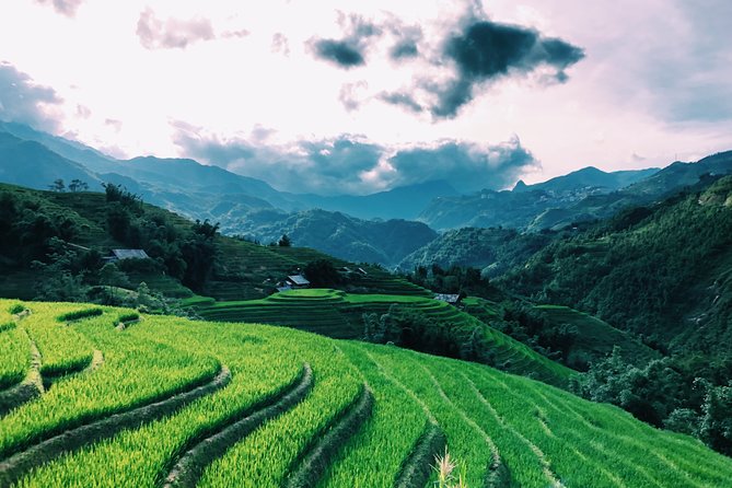 Sapa 2-Day Trek & Homestay in Ta Van Village – Be a Local - Price and value: why $45 can work (and when it might not)