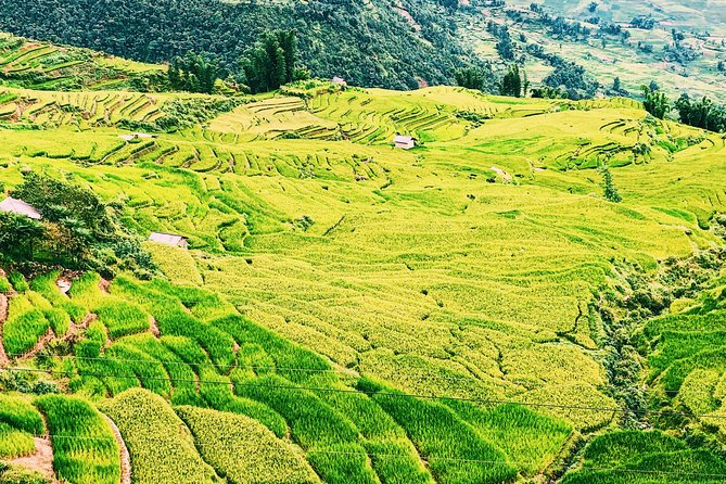 Sapa 2-Day Trek & Homestay in Ta Van Village – Be a Local - Cooking together: market ingredients, garden time, and a meal that means something