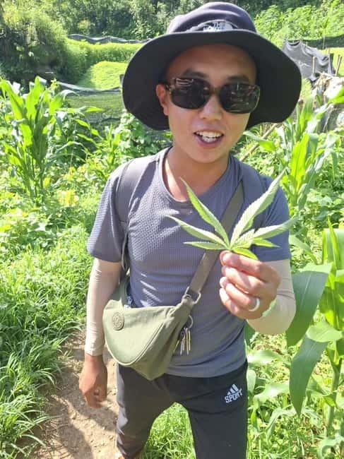 SAPA: 2 DAY TREK MOUNTAIN & RICE FIELD WITH LALA HOMESTAY - Day 2: terrace rice fields, the Muong Hoa river walk, and Giang Ta Chai