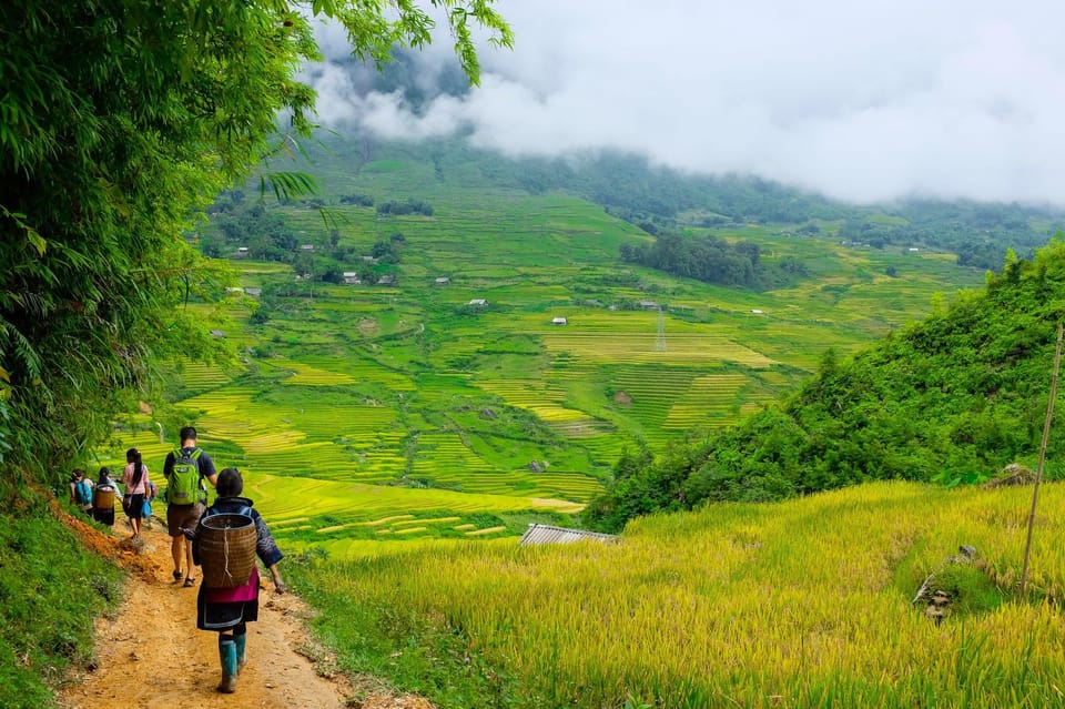 SaPa: 2-Day Villages,Rice Fields, Love Waterfall Hiking Tour - Price and value: what $112 covers (and why it can be a good deal)