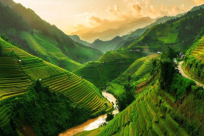 Sapa 2 Days 1 Night from Hanoi - Hotel Stay - Day 2: tea and cardamom gardens, buffalo trails to Ma Tra, and Red Dao crafts in Ta Phin