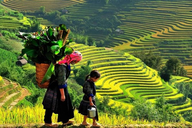 Sapa 2 Days 1 Night From Hanoi - Overnight in Hotel - Lunch, shower time, and your last stretch back to Hanoi