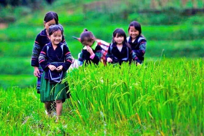 Sapa 2 Days 1 Night Overnight at Homestay Ta Van Village - Key highlights you’ll actually care about