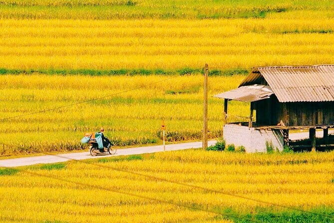 Sapa 2 Days 1 Night Overnight at Homestay Ta Van Village - Should you book Sapa 2 Days 1 Night at Homestay Ta Van Village?