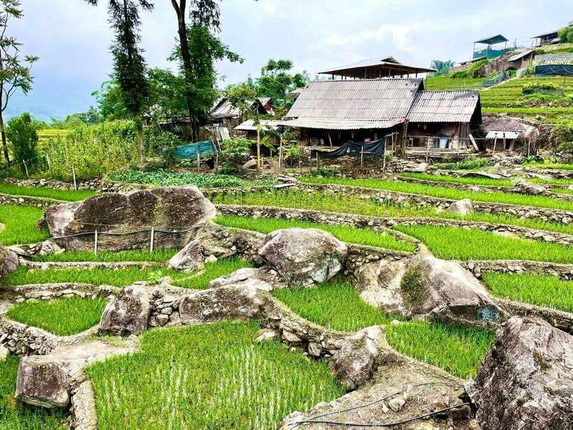 SAPA: 2 DAYS Walking & 1 night at Homestay with LOCAL GUIDE - How hard is this trek, honestly?