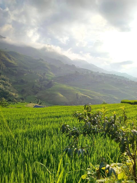 SAPA: 2 DAYS Walking & 1 night at Homestay with LOCAL GUIDE - Practical gear that actually helps in Sa Pa