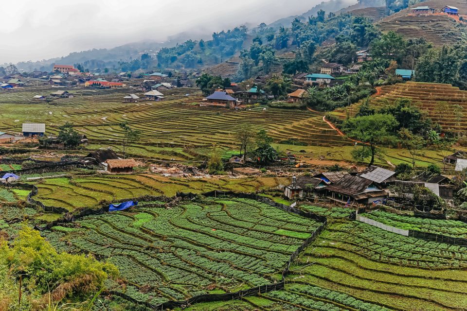 Sapa: 3-Day, 3-Night Trek and Hotel with Overnight Train - Day 1: Sin Chai Village, Black H’mong life, and a slower evening in Sapa Center