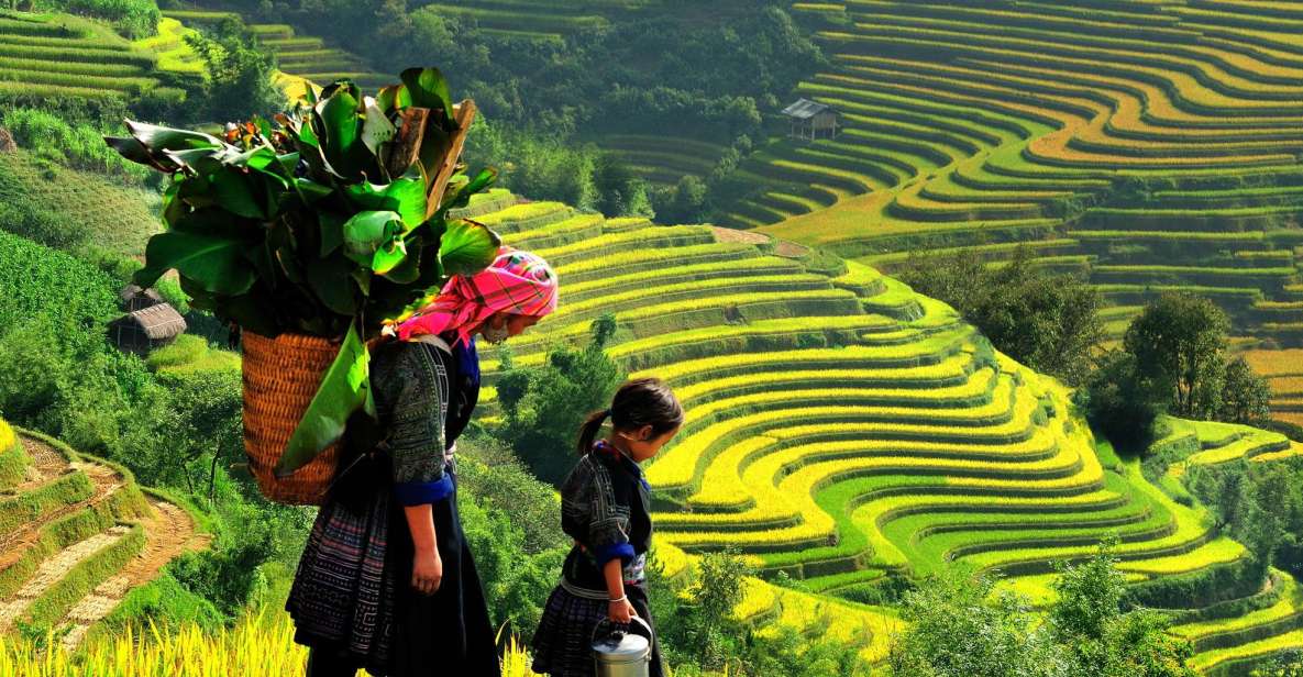 Sapa: 3-Day, 3-Night Trek and Hotel with Overnight Train - Day 0: What the overnight train segment is really like